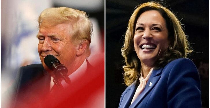 How the US election could impact emerging markets